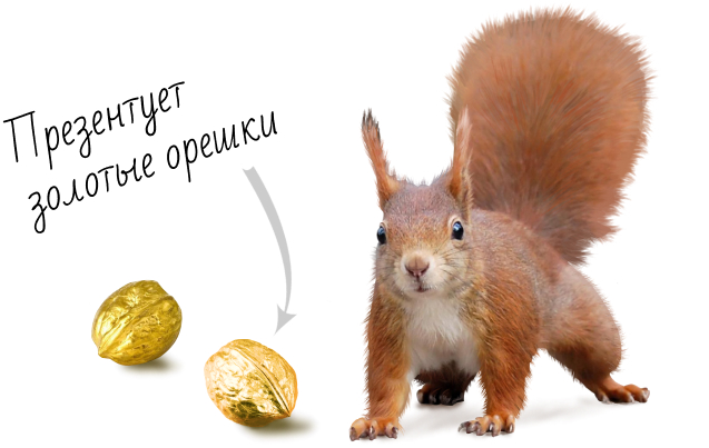 Заказать разработку презентации