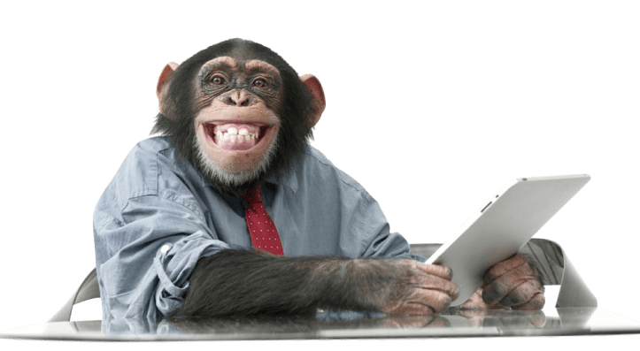 Наша задача - разработка вашего интернет-магазина