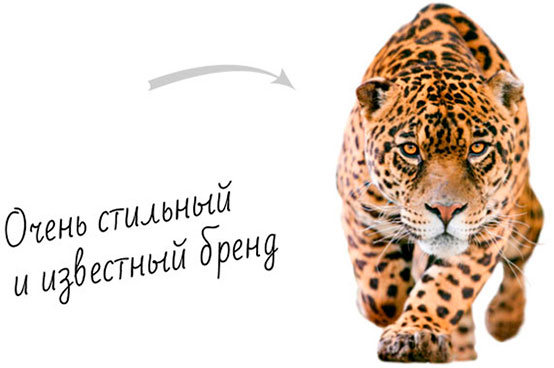 Заказать разработку фирменного стиля