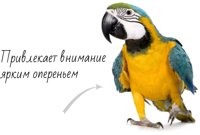 Заказать контекстную рекламу