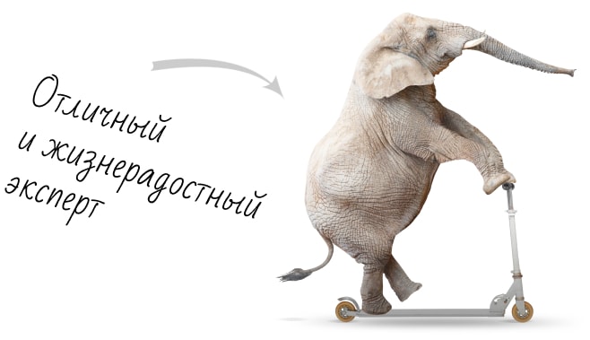 Заказать разработку интернет-магазина