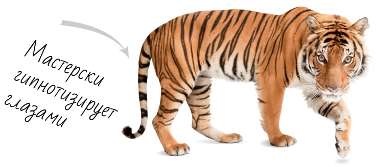 Заказать лендинг