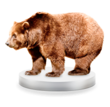 Создание сайтов