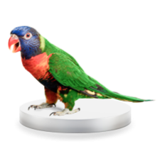 Интернет-реклама