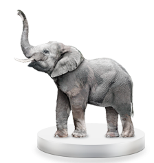 Создание интернет-магазинов