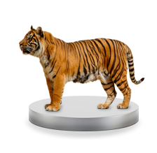 Создание лендингов